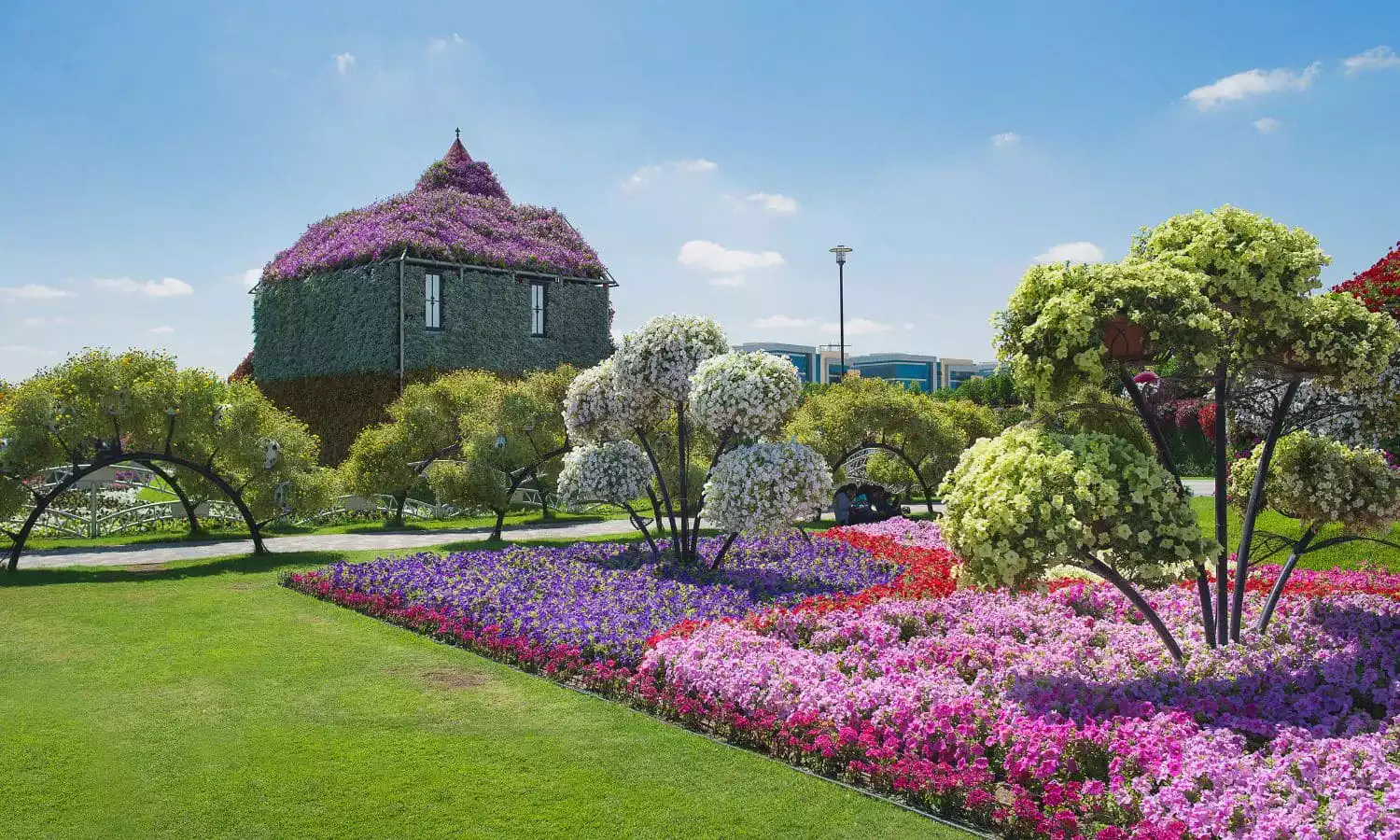 Miracle Garden, neighbor to the Butterfly Garden in Dubai.