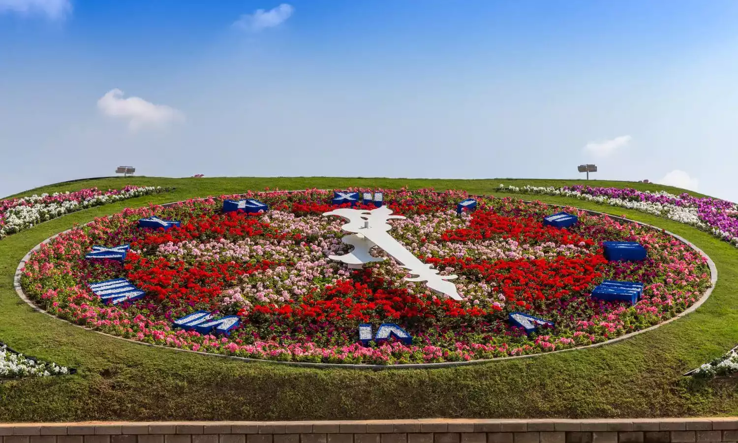 Flowers in Dubai Miracle Garden, beautifully arranged to represent a clock.