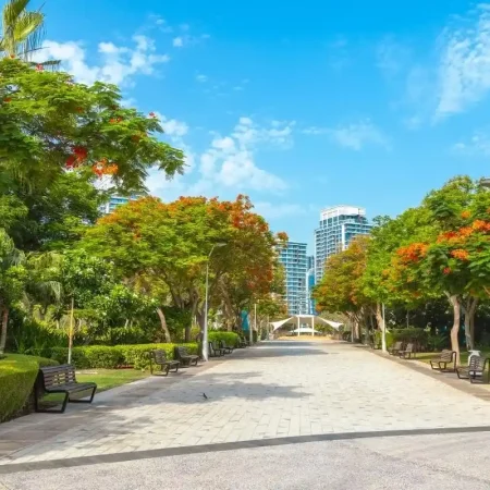 Tree-lined walkway in Zabeel Park, one of the most popular public parks in Dubai