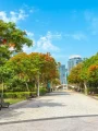 Tree-lined walkway in Zabeel Park, one of the most popular public parks in Dubai